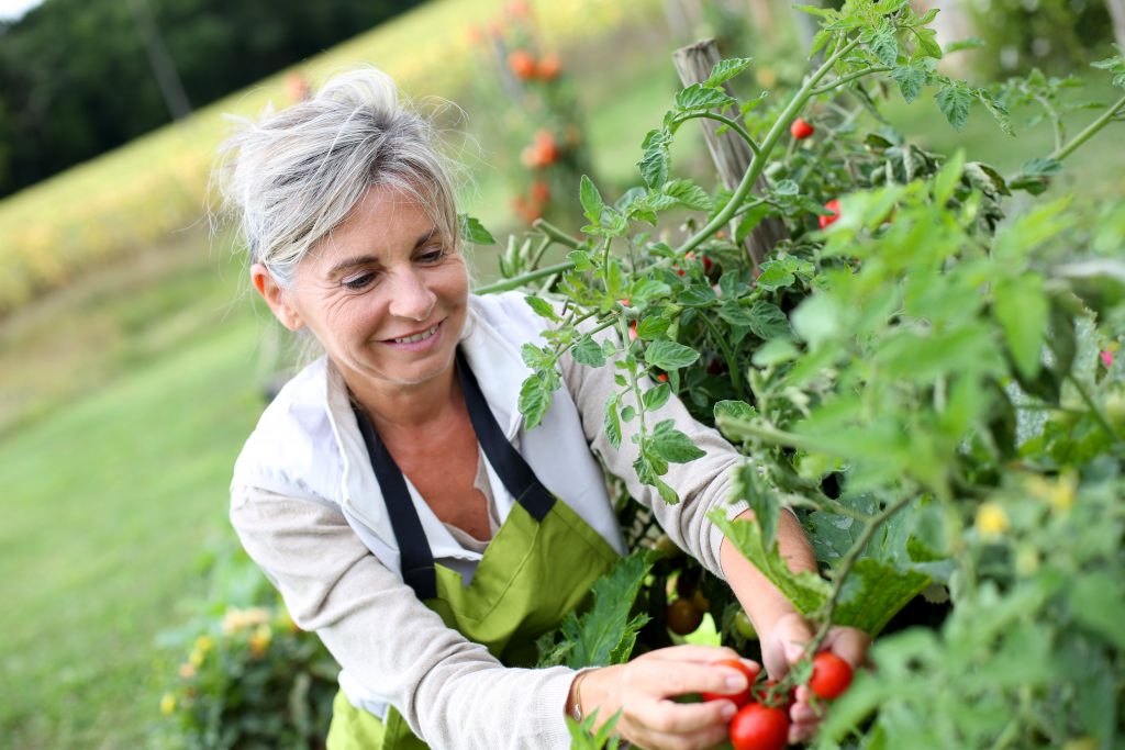 senior gardening