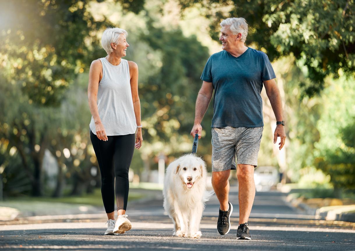 Senior man and woman walk a big beautiful white dog through a park